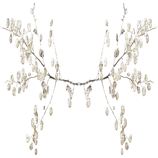 654e0923-a19f-f72a-8430-e6d2f378e306-22