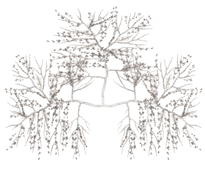 c69ac3bd-4e89-3b81-bf85-7486c6dbd0a3-33(2)