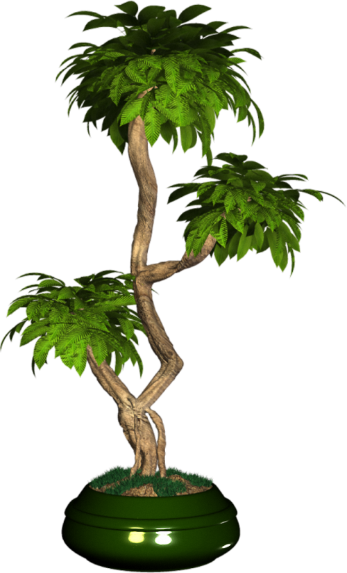 Exotic-Trees_19.md