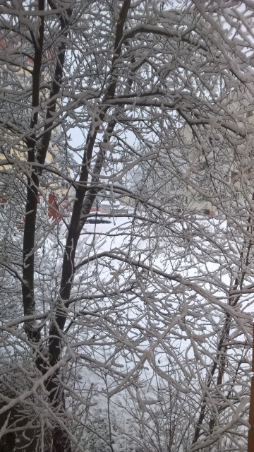 VK_Photo_636484959767390449