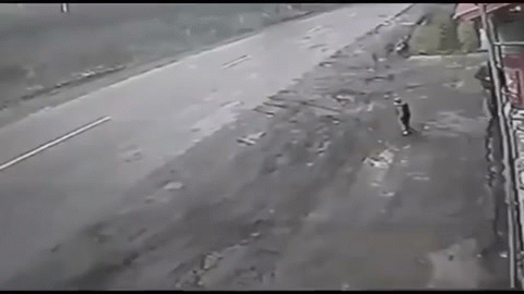 GIF