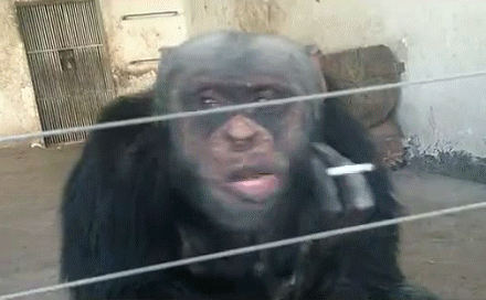 dagestanpesochnica802582_yapfiles.ru