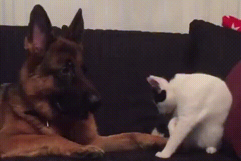 d6851033357c8c208c92964193910ecd