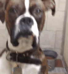 1513382853137133161[1]