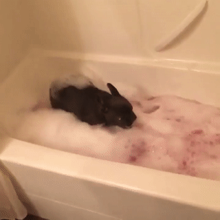 1513404764286890994[1]