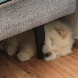 Ножка само то