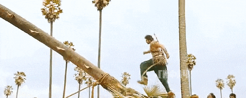 68454070_06fa8ffd324e813cd3b288c4654040b9_800