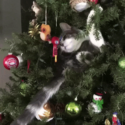 Вот где счастье