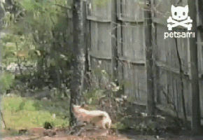 1364019035_1720160671