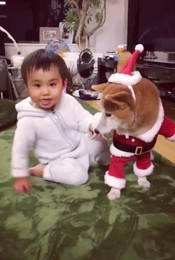 Праздник приходит