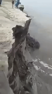 -идиотизм-что-могло-пойти-не-так-4224002