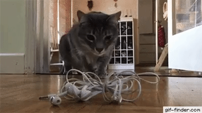 Я не трус...но я боюсь