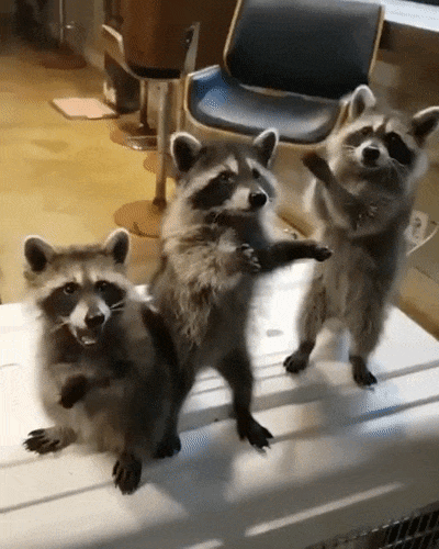 Жрать охота