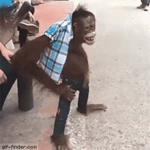 35c2f9032f88f4c824fe313ee63dcfe2