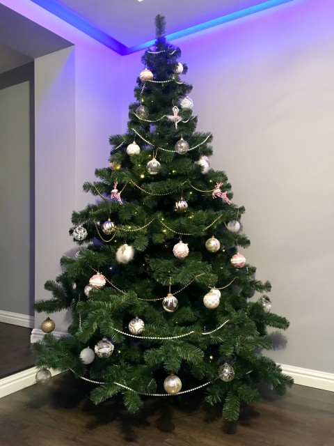 0334C68F-D6F0-4BF4-9CD5-2AA7CEC3B6B3