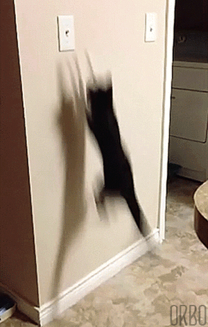 tumblr_p1knizJv0m1rjlj53o1_400