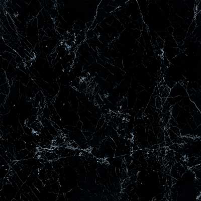 black-spider