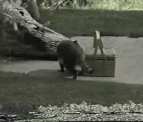 tumblr_p1wo1k8uHo1s7km96o1_400