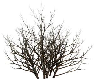 0_133c49_9b8b7d68_orig[1]