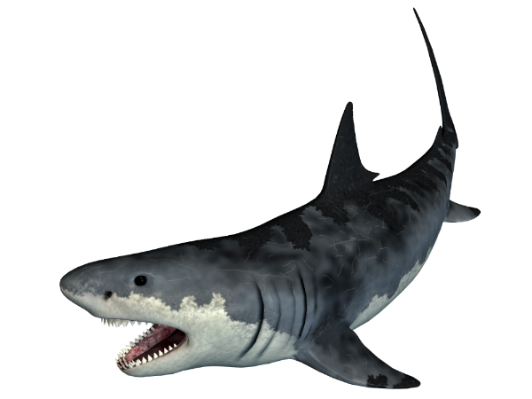 Monster_Shark_02_PNG_Stock_yapfiles
