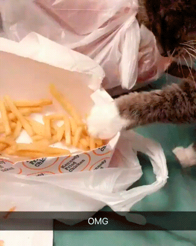 0_1bed21_6a7527fe_orig