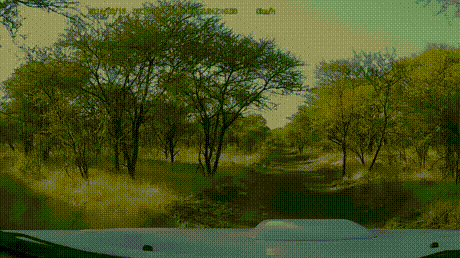 1515522848141142473