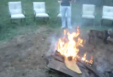 1310373673_animals_04