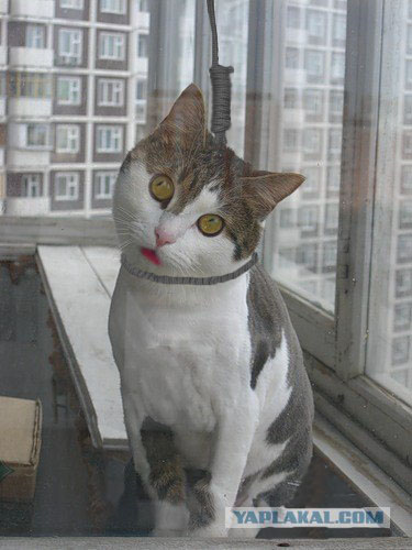 post-3-12410985545515