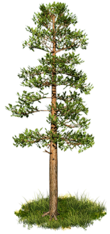 8115940553e1f120c874L (1)