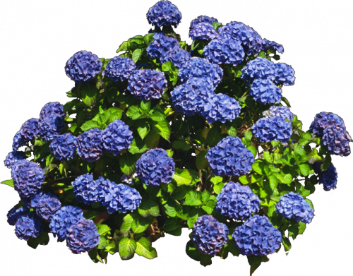 0_2b7414_c01e2883_orig