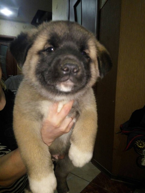 image-0-02-05-dd51a621c88f99e7ca17daf7de25d66d3adce678638f550f04739e849a2c466a-V