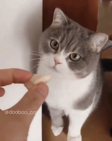 Тёмная сторона