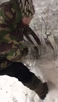 Заяц замерз на заборе в -56