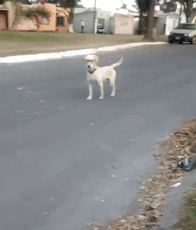 Очки спугнули