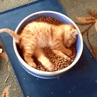 151677398112629427[1]