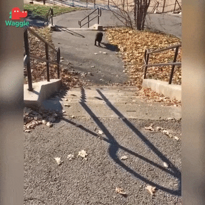 Самообслуживание