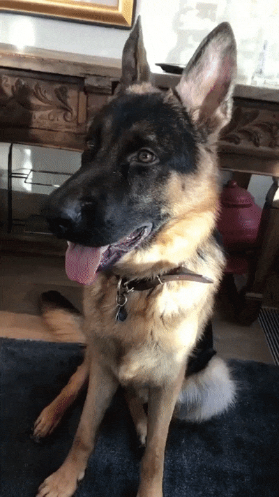 Что говоришь?