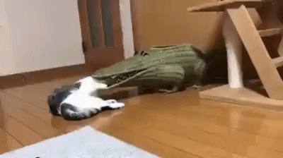 Лучше коробки