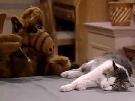 1_S3jFrJ0Y3skm_o_nrpCjlw