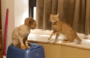 остригли_демоны