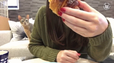 40039621208f7275b54ab560c7d