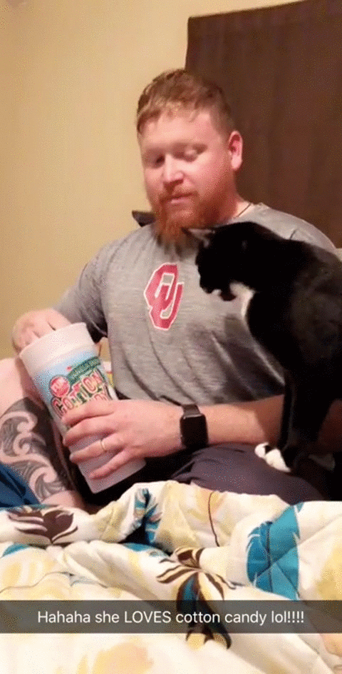 перехватчик