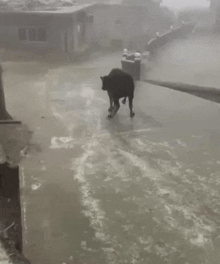 0_1c3d36_a18b910b_orig