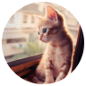 BzeoB3p - Imgur