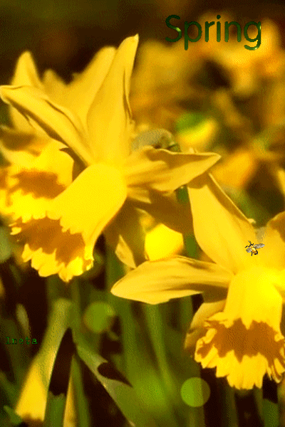 151800398879641407 (1)