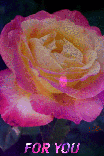 151819668422848270 (1)