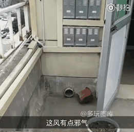 Самое лучшее привидение! Без мотора.