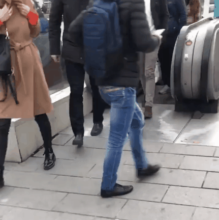 -котэ-эскалатор-4312538