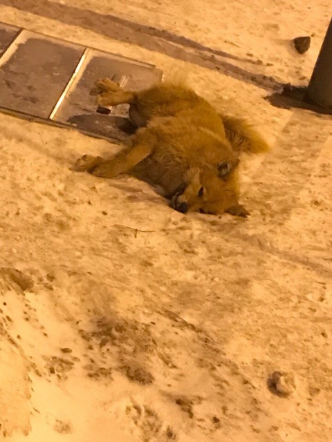 img-20180221184412-383