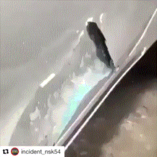 Не бита, не крашена